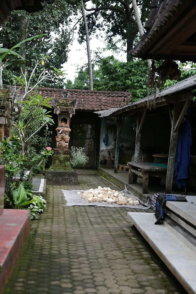 Alam Sari Homestays Ubud  Indonesia