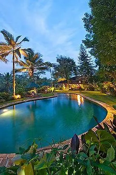 Alam Sari Homestays Ubud