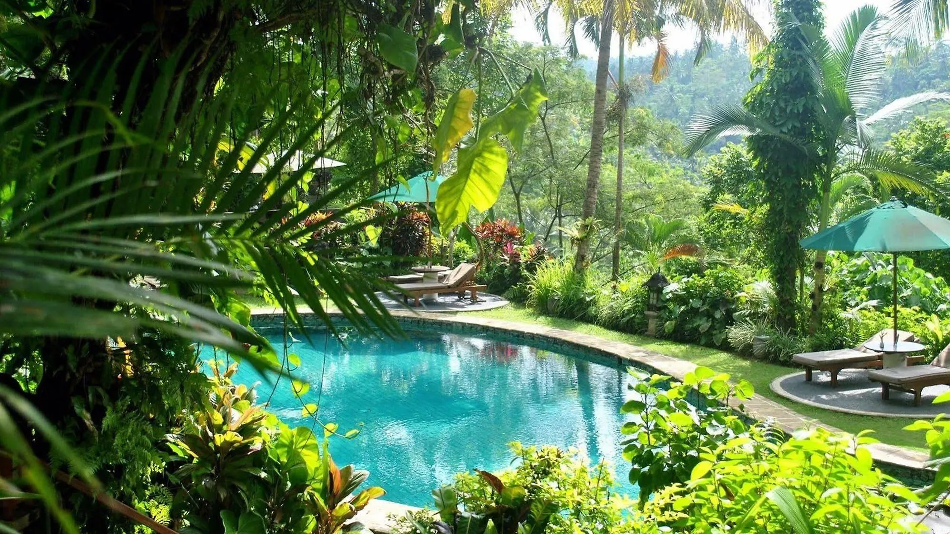Alam Sari Homestays Ubud  0*, Ubud (Bali)