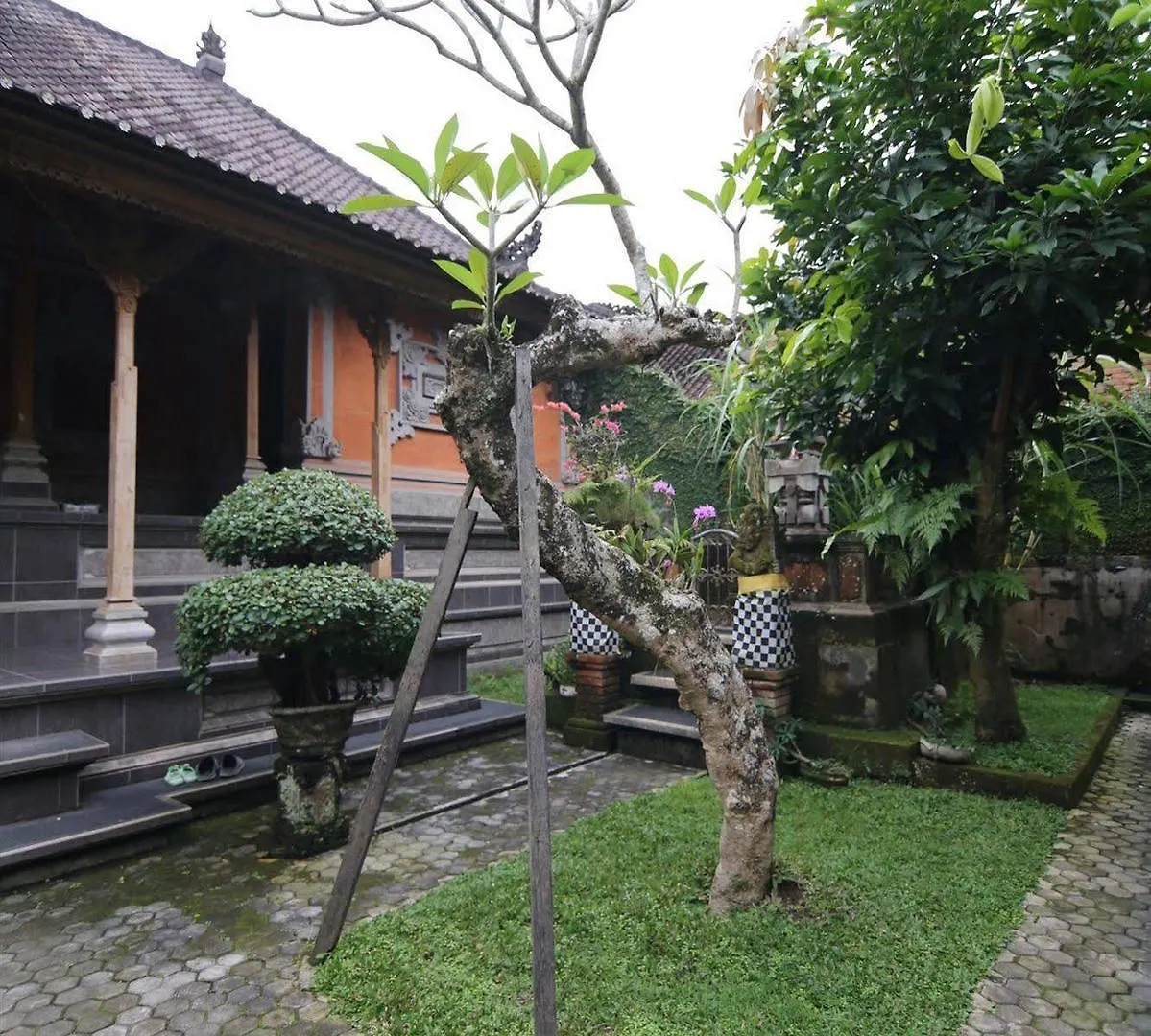 Alam Sari Homestays Ubud   Ubud (Bali)