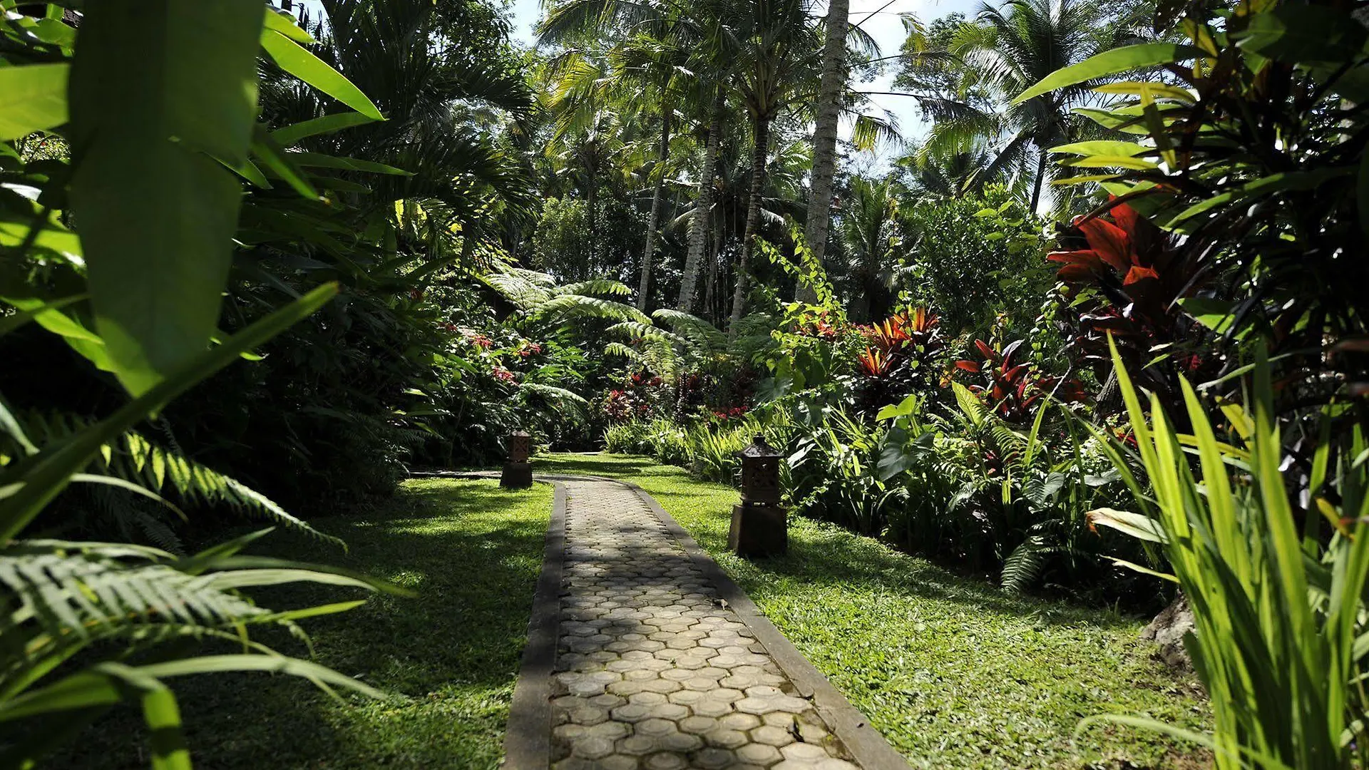 Alam Sari Homestays Ubud